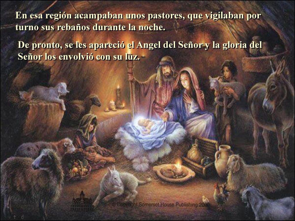 En esa región acampaban unos pastores, que vigilaban por turno sus rebaños durante la noche.