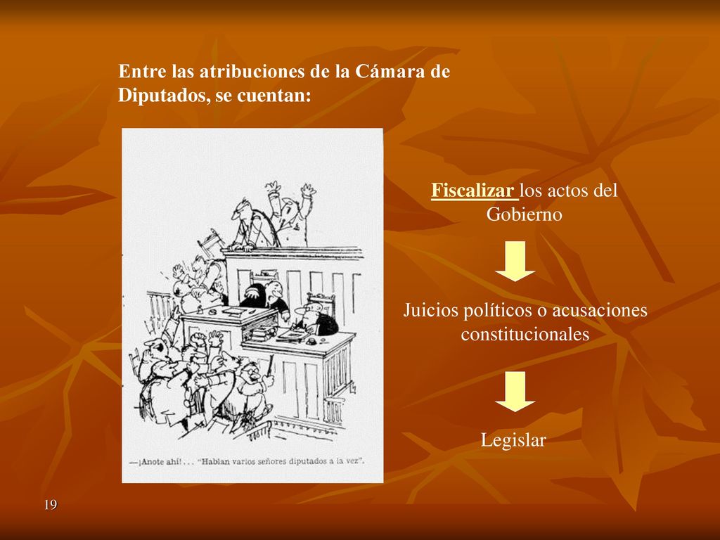 Entre las atribuciones de la Cámara de Diputados, se cuentan: