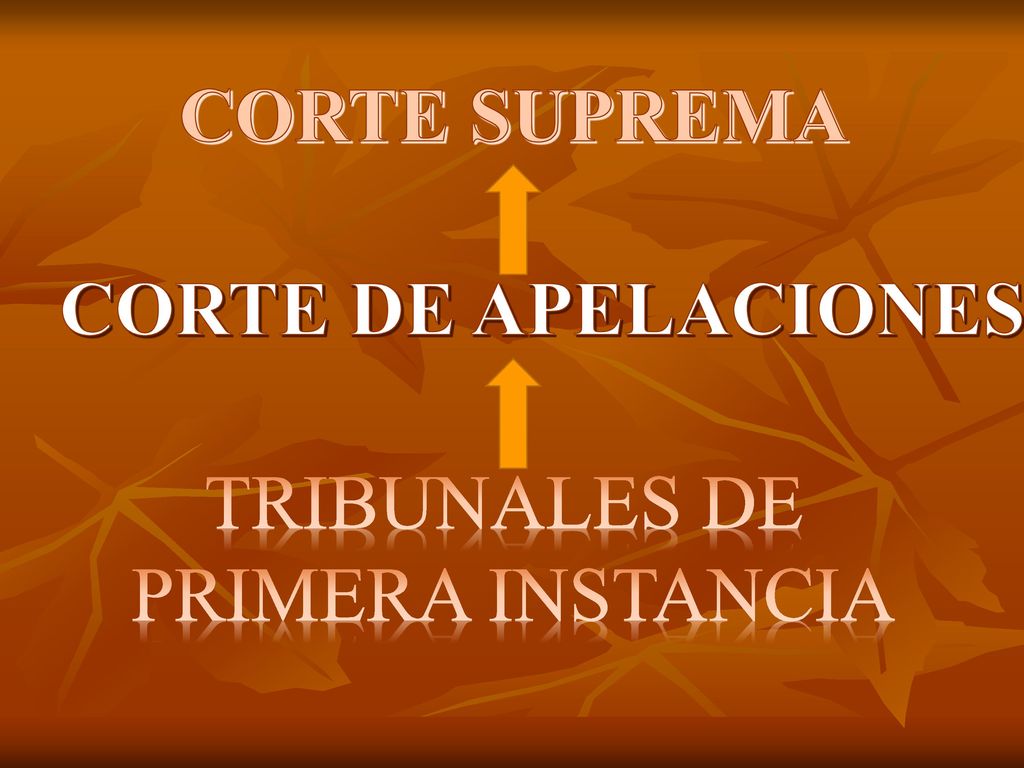 CORTE SUPREMA CORTE DE APELACIONES TRIBUNALES DE PRIMERA INSTANCIA