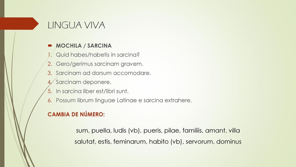 LINGUA VIVA MOCHILA / SARCINA. Quid habes/habetis in sarcina Gero/gerimus sarcinam gravem. Sarcinam ad dorsum accomodare.