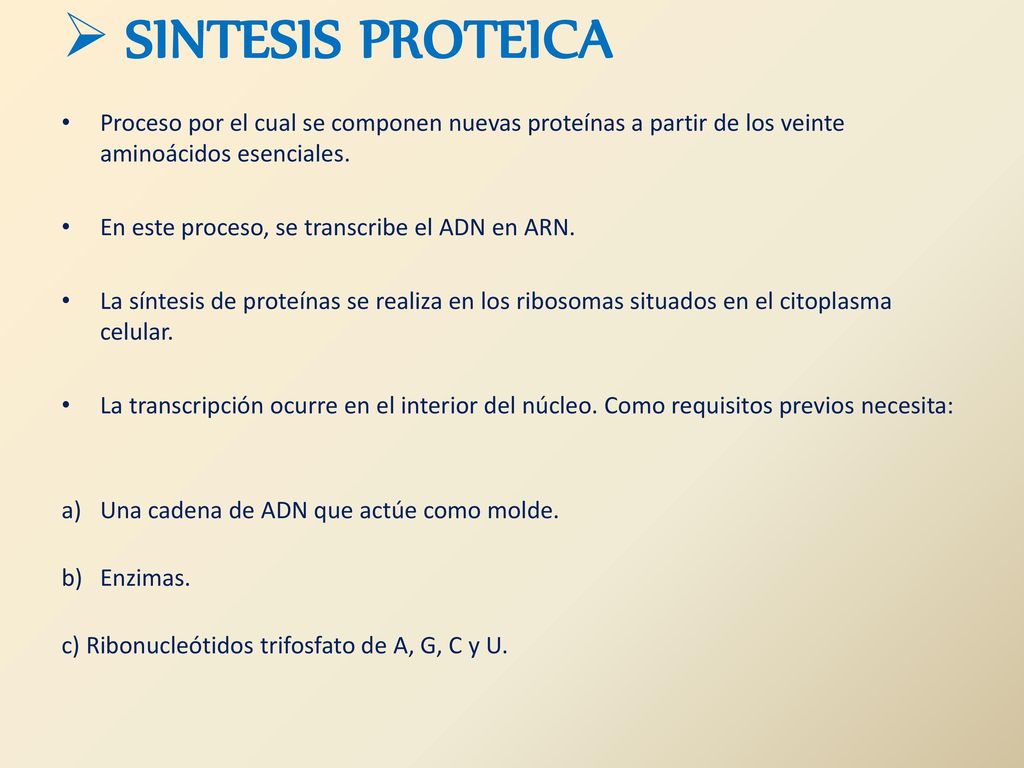 SINTESIS PROTEICA Proceso por el cual se componen nuevas proteínas a partir de los veinte aminoácidos esenciales.