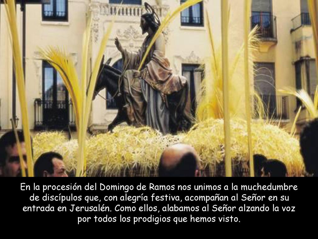En la procesión del Domingo de Ramos nos unimos a la muchedumbre de discípulos que, con alegría festiva, acompañan al Señor en su entrada en Jerusalén.