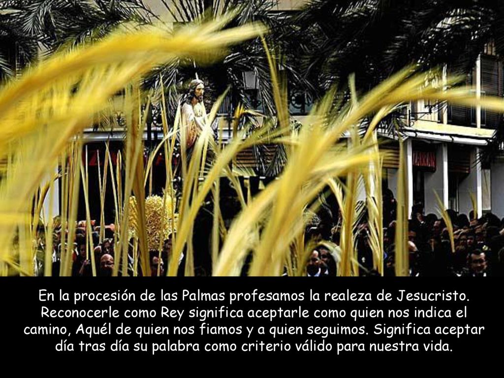 En la procesión de las Palmas profesamos la realeza de Jesucristo