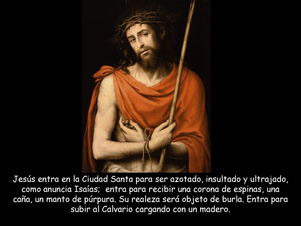 Jesús entra en la Ciudad Santa para ser azotado, insultado y ultrajado, como anuncia Isaías; entra para recibir una corona de espinas, una caña, un manto de púrpura.