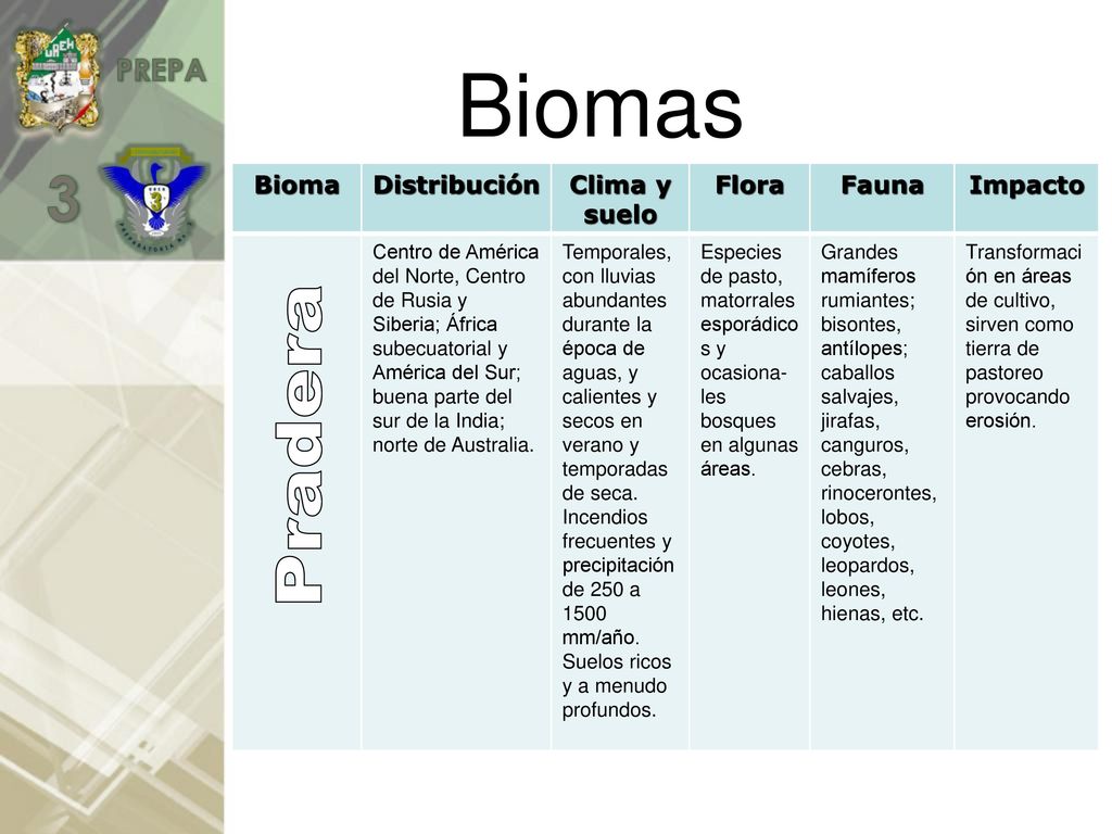 Biomas Pradera Bioma Distribución Clima y suelo Flora Fauna Impacto
