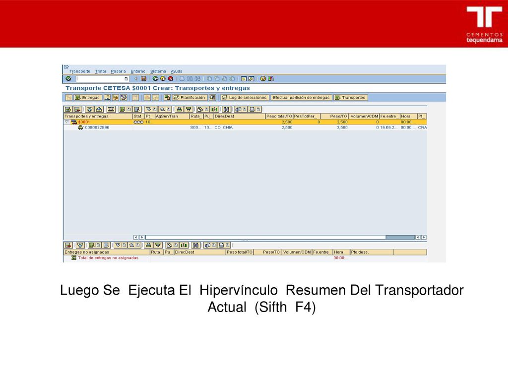Luego Se Ejecuta El Hipervínculo Resumen Del Transportador Actual (Sifth F4)