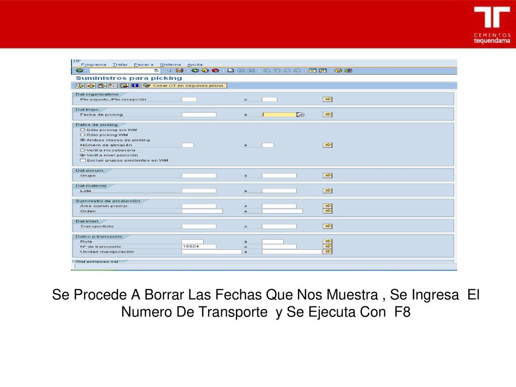 Se Procede A Borrar Las Fechas Que Nos Muestra , Se Ingresa El Numero De Transporte y Se Ejecuta Con F8
