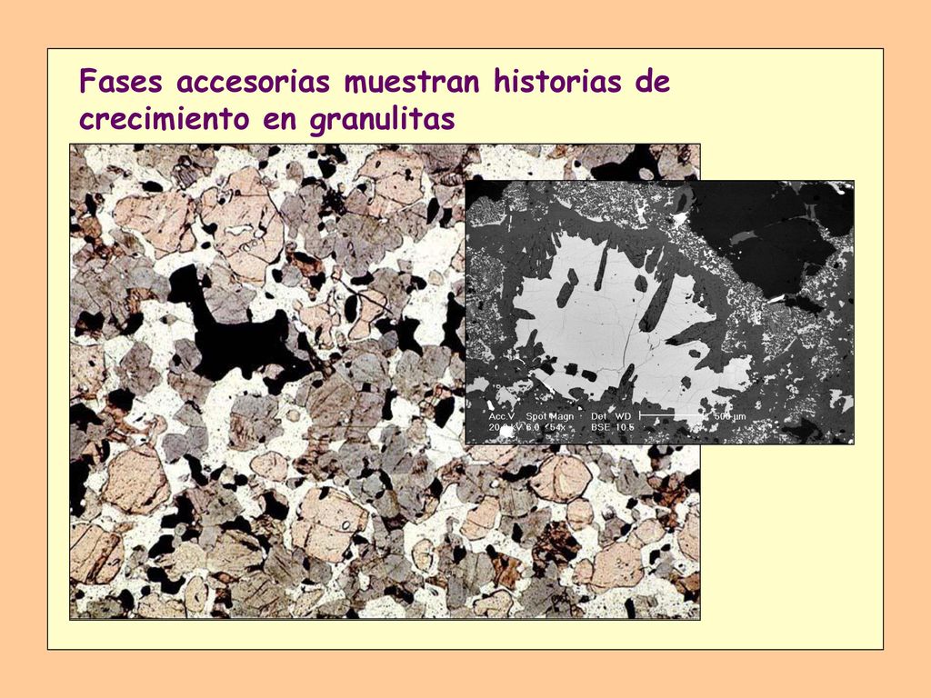 Fases accesorias muestran historias de crecimiento en granulitas