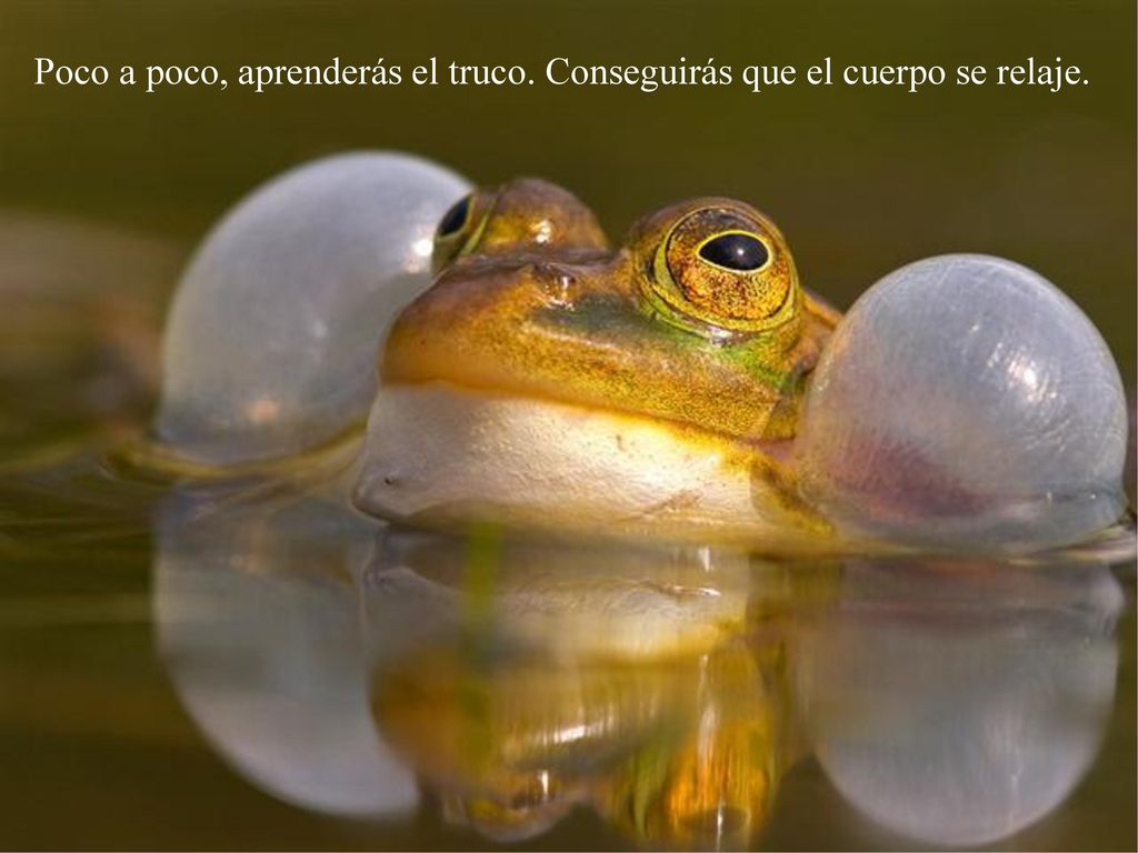 Poco a poco, aprenderás el truco. Conseguirás que el cuerpo se relaje.