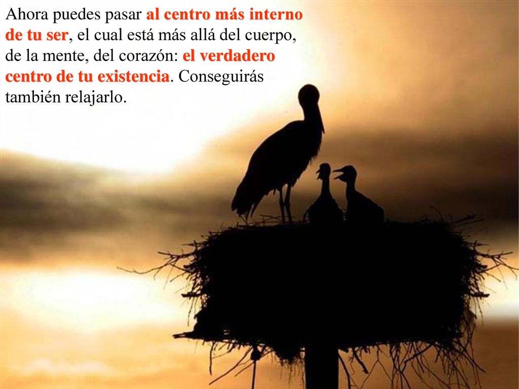 Ahora puedes pasar al centro más interno de tu ser, el cual está más allá del cuerpo, de la mente, del corazón: el verdadero centro de tu existencia.