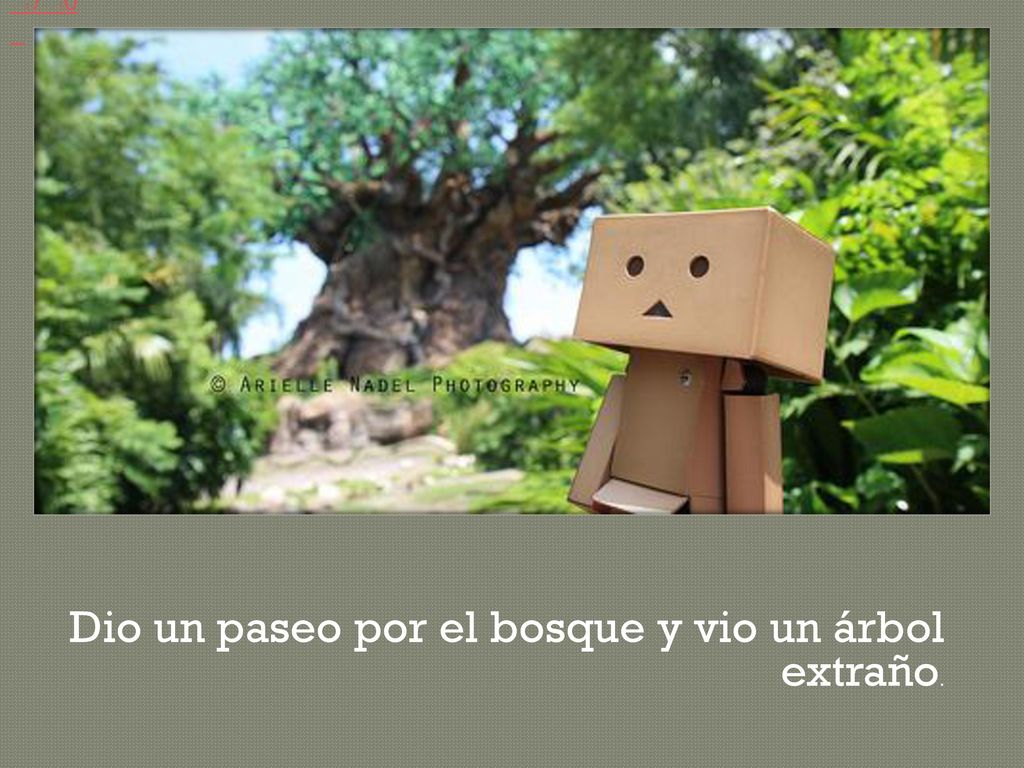 Dio un paseo por el bosque y vio un árbol extraño.