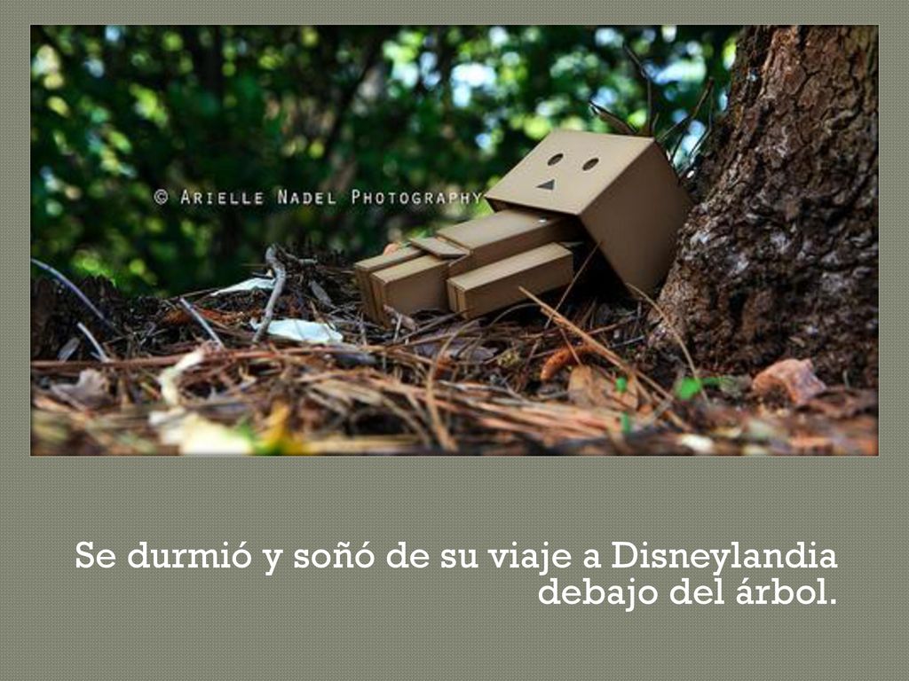 Se durmió y soñó de su viaje a Disneylandia debajo del árbol.