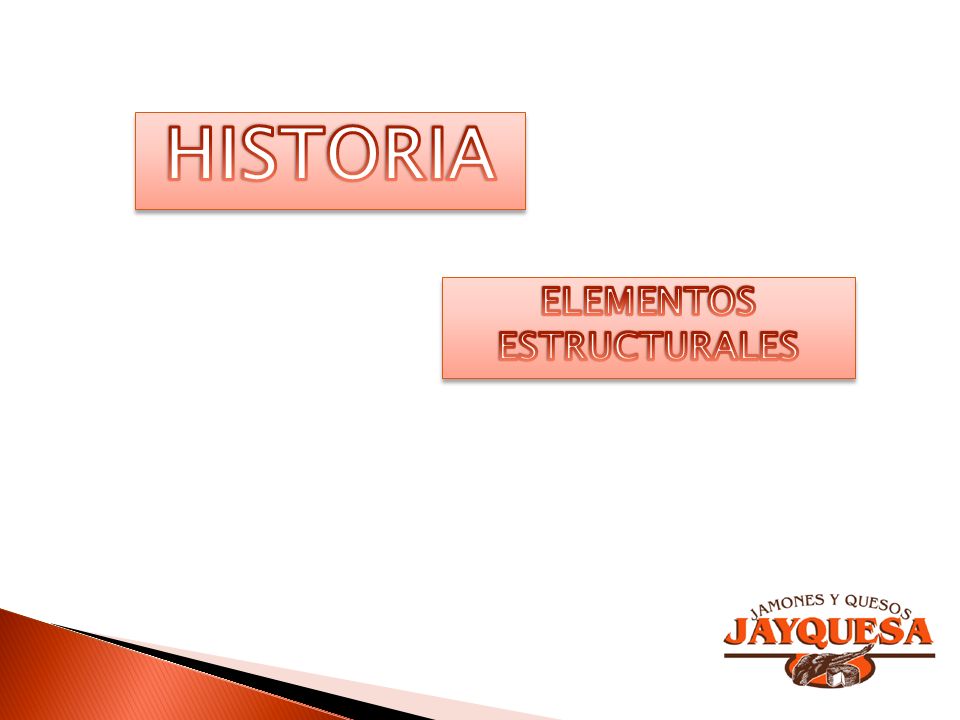 HISTORIA ELEMENTOS ESTRUCTURALES