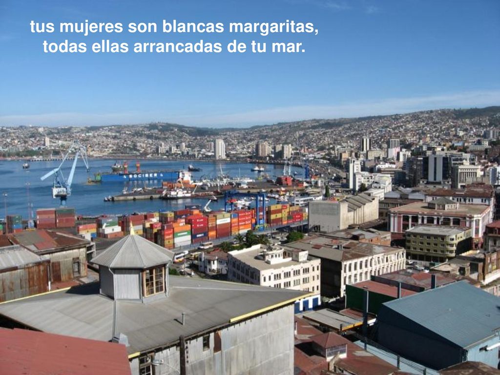 tus mujeres son blancas margaritas, todas ellas arrancadas de tu mar.