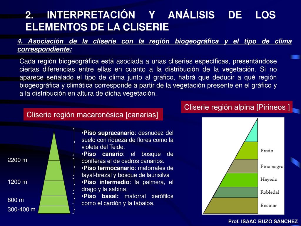2. INTERPRETACIÓN Y ANÁLISIS DE LOS ELEMENTOS DE LA CLISERIE