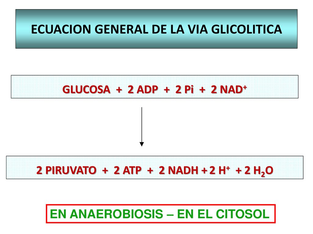 ECUACION GENERAL DE LA VIA GLICOLITICA