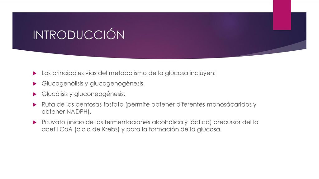 INTRODUCCIÓN Las principales vías del metabolismo de la glucosa incluyen: Glucogenólisis y glucogenogénesis.