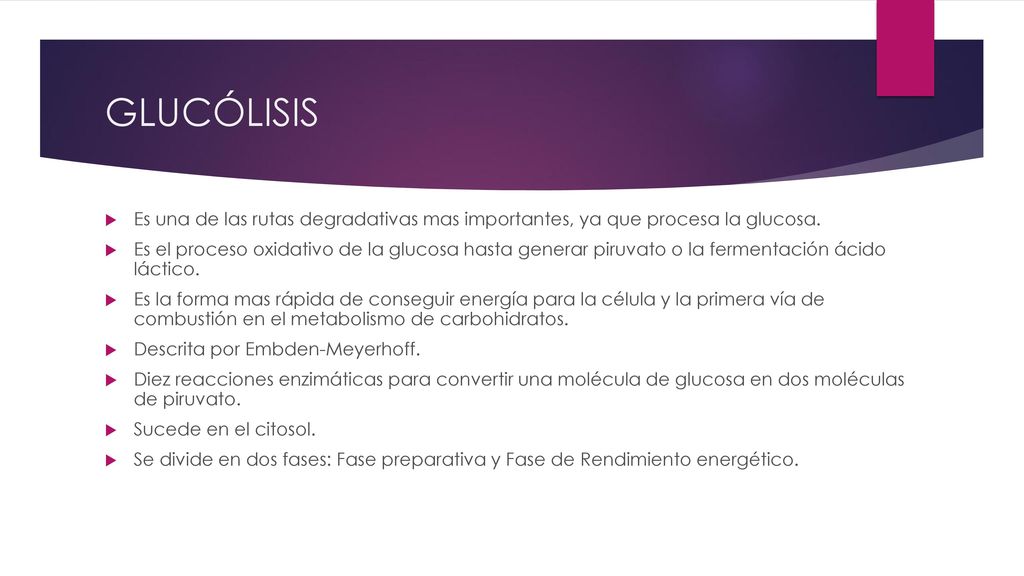 GLUCÓLISIS Es una de las rutas degradativas mas importantes, ya que procesa la glucosa.