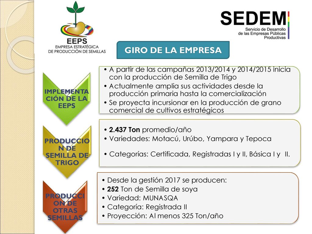 GIRO DE LA EMPRESA IMPLEMENTACIÓN DE LA EEPS. A partir de las campañas 2013/2014 y 2014/2015 inicia con la producción de Semilla de Trigo.