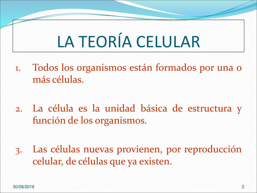 LA TEORÍA CELULAR Todos los organismos están formados por una o más células.