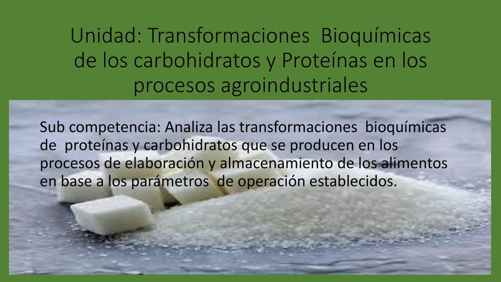Unidad: Transformaciones Bioquímicas de los carbohidratos y Proteínas en los procesos agroindustriales