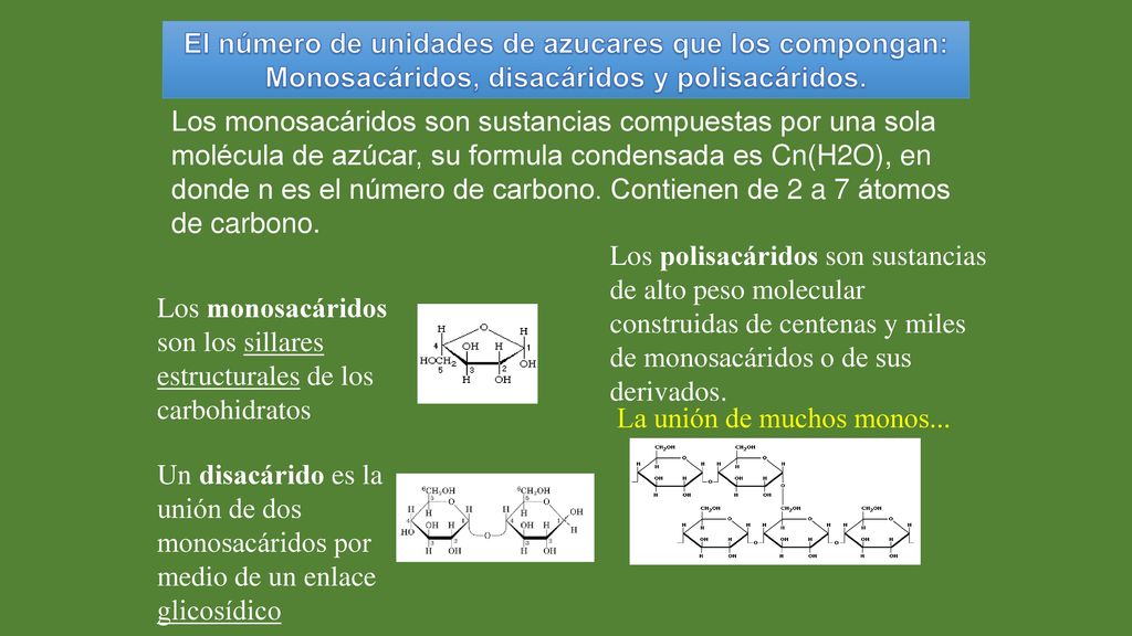 El número de unidades de azucares que los compongan: Monosacáridos, disacáridos y polisacáridos.