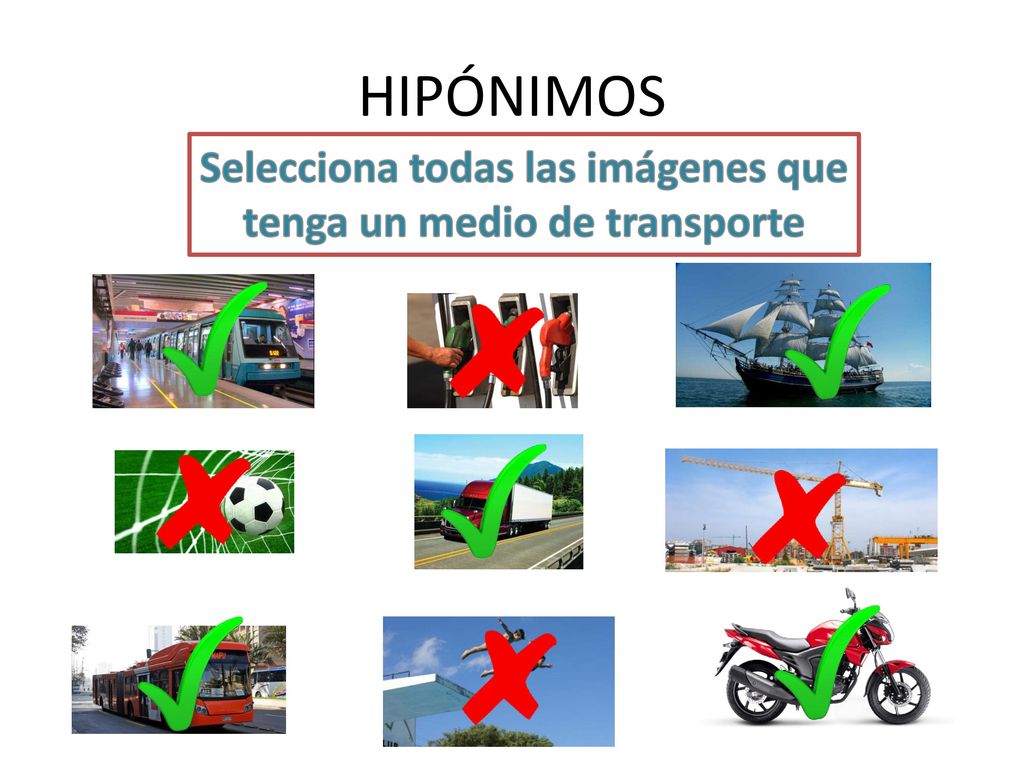 Selecciona todas las imágenes que tenga un medio de transporte