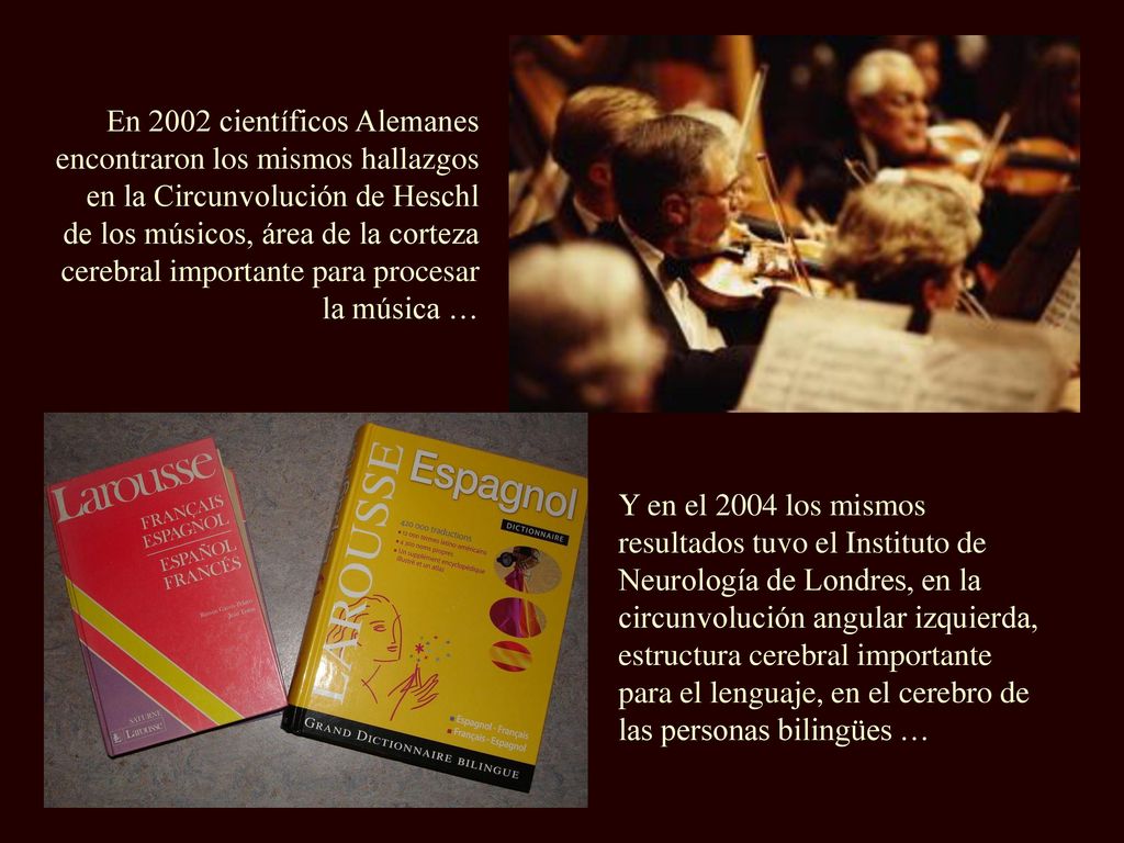 En 2002 científicos Alemanes encontraron los mismos hallazgos en la Circunvolución de Heschl de los músicos, área de la corteza cerebral importante para procesar la música …