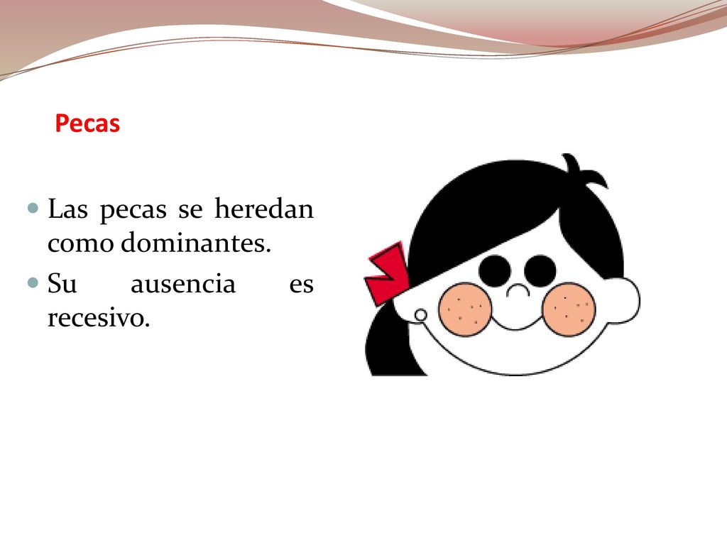Pecas Las pecas se heredan como dominantes. Su ausencia es recesivo.