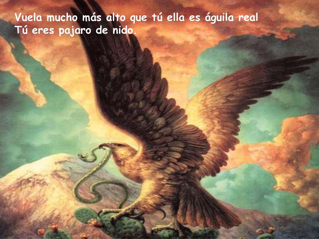 Vuela mucho más alto que tú ella es águila real