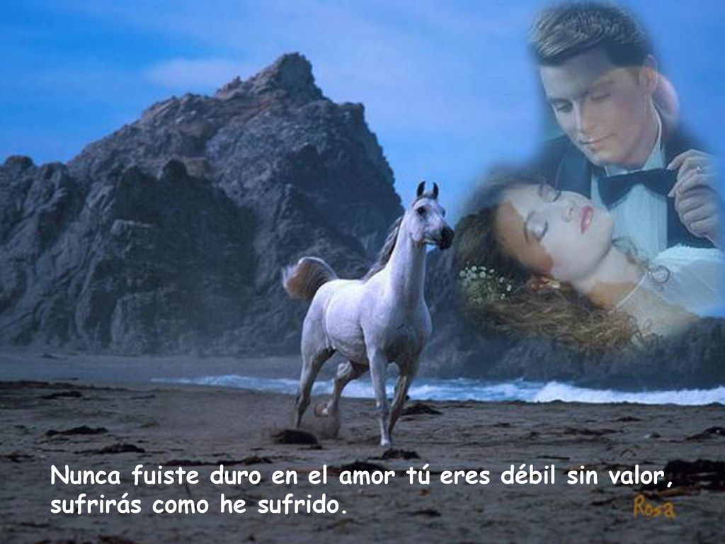 Nunca fuiste duro en el amor tú eres débil sin valor, sufrirás como he sufrido.