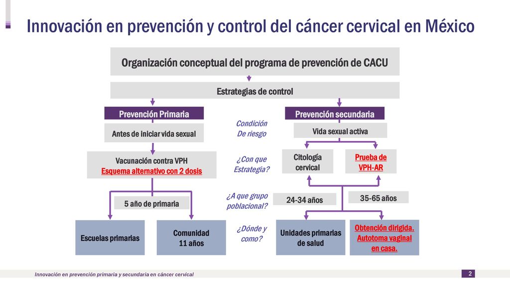 Innovación en prevención y control del cáncer cervical en México