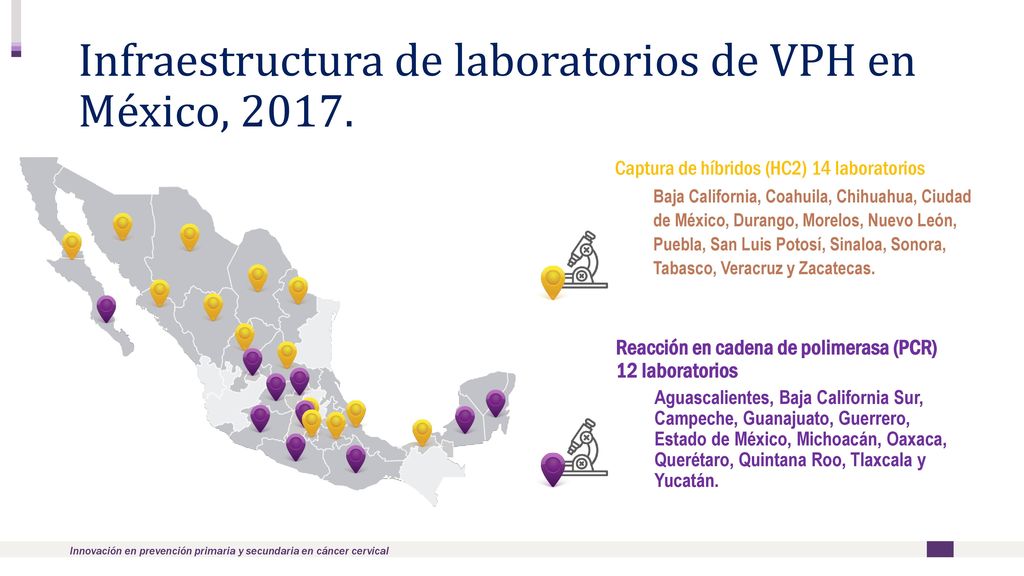 Infraestructura de laboratorios de VPH en México, 2017.