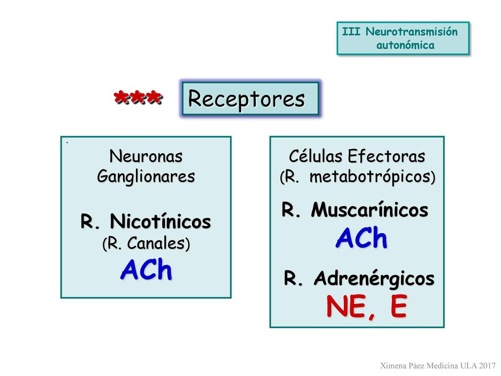 *** ACh Receptores R. Nicotínicos ACh NE, E Neuronas Ganglionares