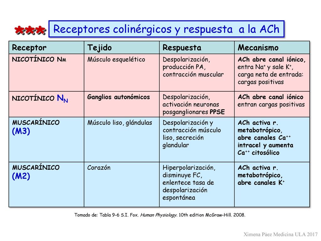 *** Receptores colinérgicos y respuesta a la ACh Receptor Tejido
