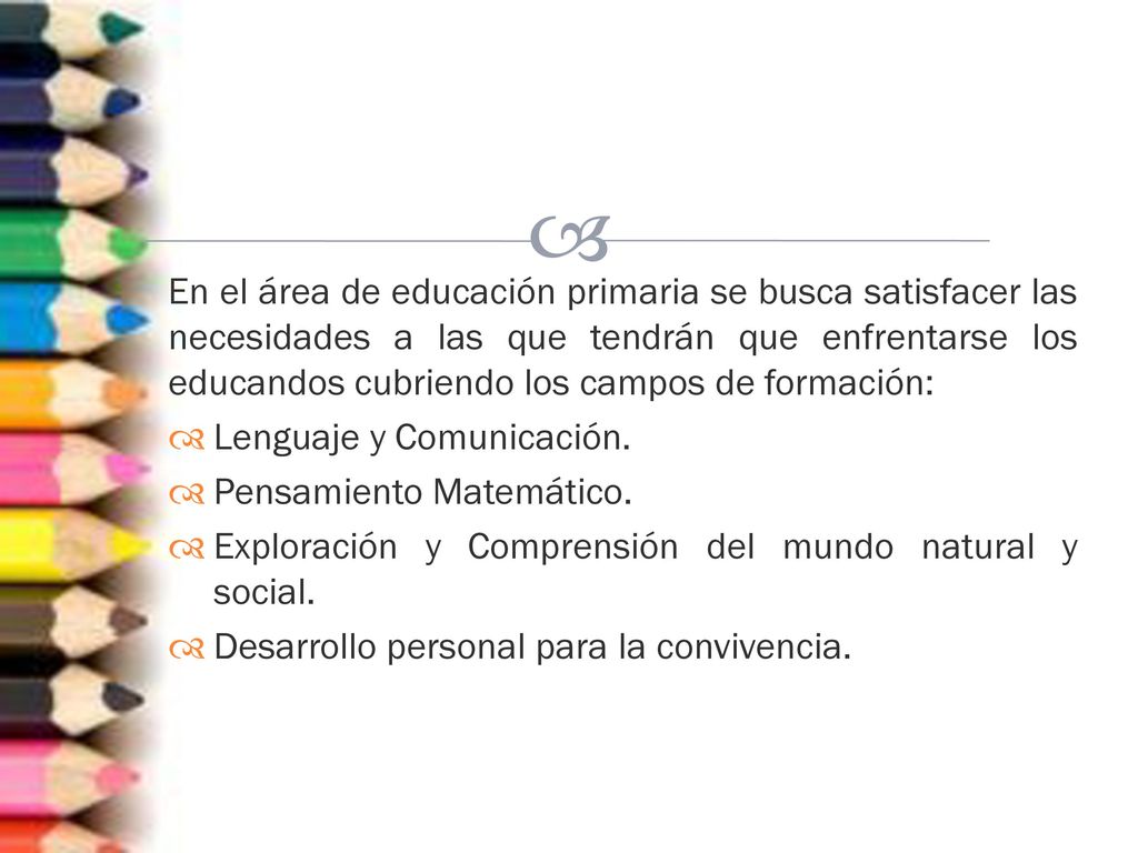 En el área de educación primaria se busca satisfacer las necesidades a las que tendrán que enfrentarse los educandos cubriendo los campos de formación: