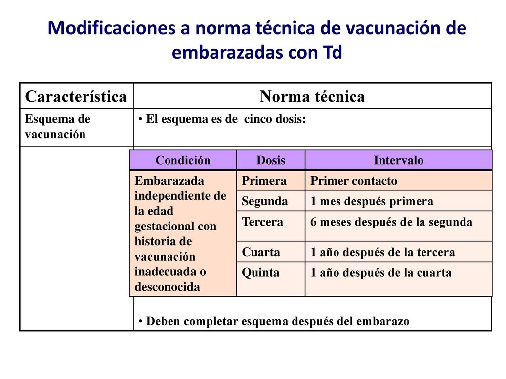 Modificaciones a norma técnica de vacunación de embarazadas con Td