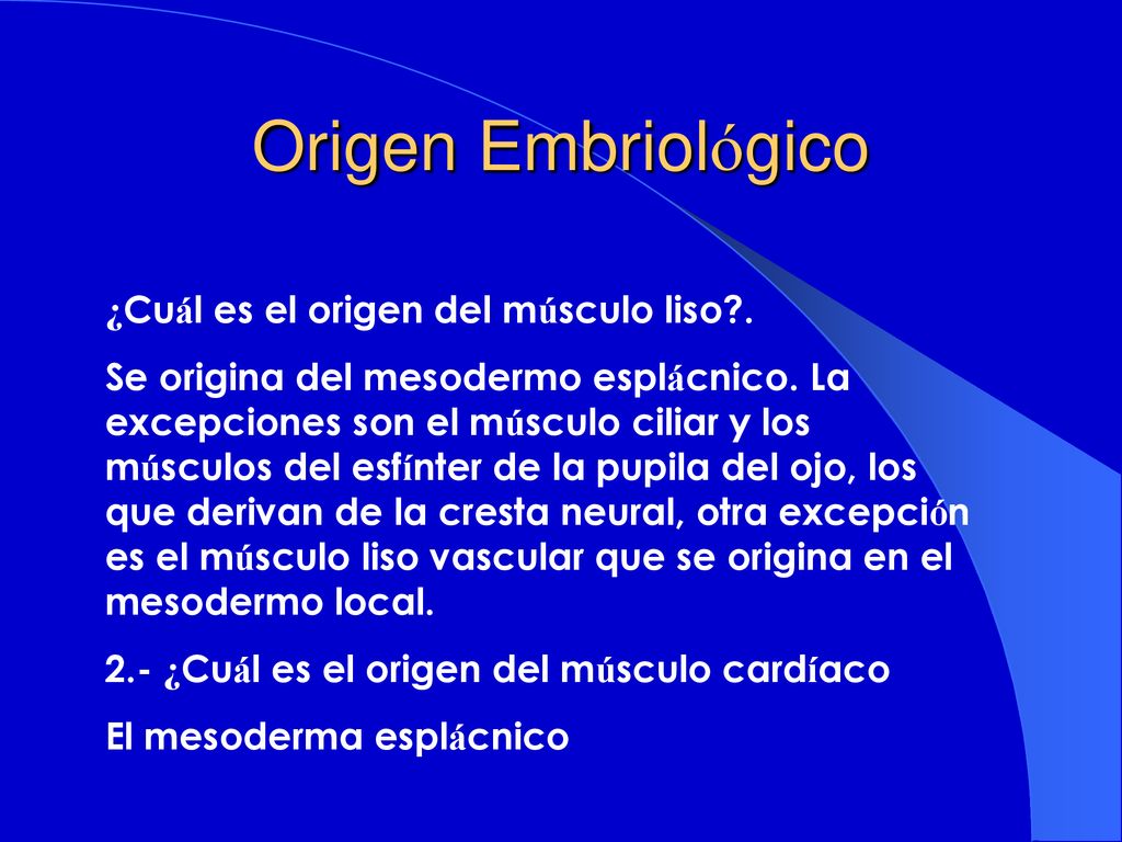 Origen Embriológico ¿Cuál es el origen del músculo liso .