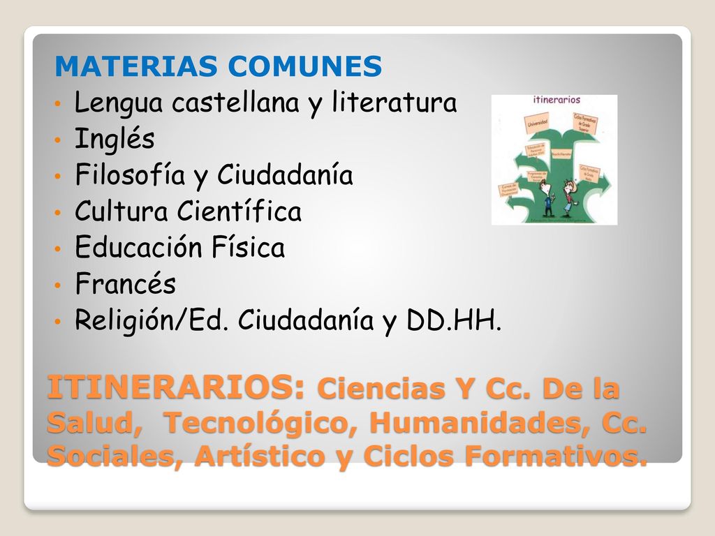 MATERIAS COMUNES Lengua castellana y literatura. Inglés. Filosofía y Ciudadanía. Cultura Científica.