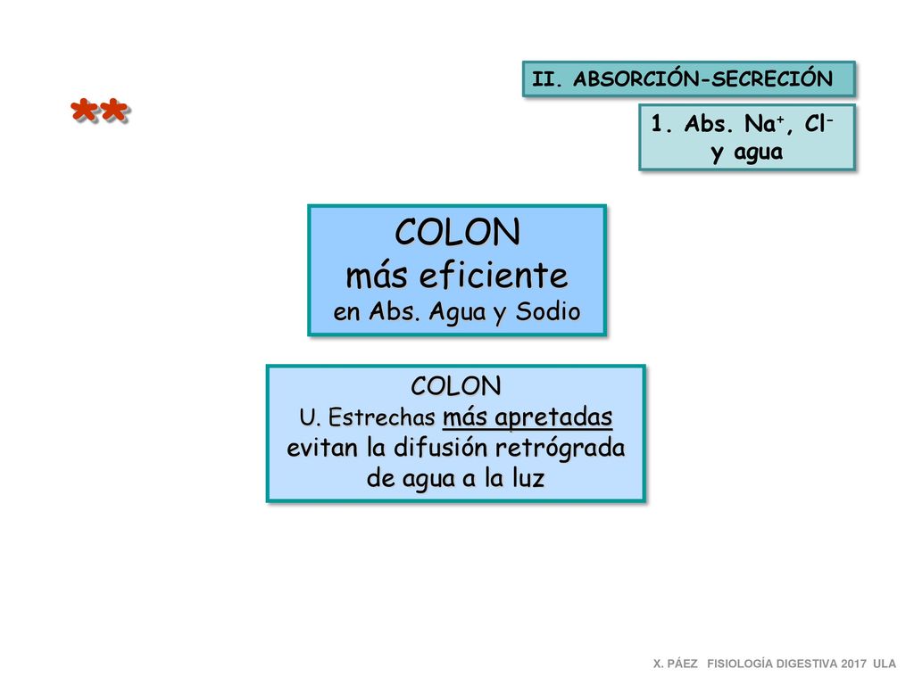 ** COLON más eficiente en Abs. Agua y Sodio COLON