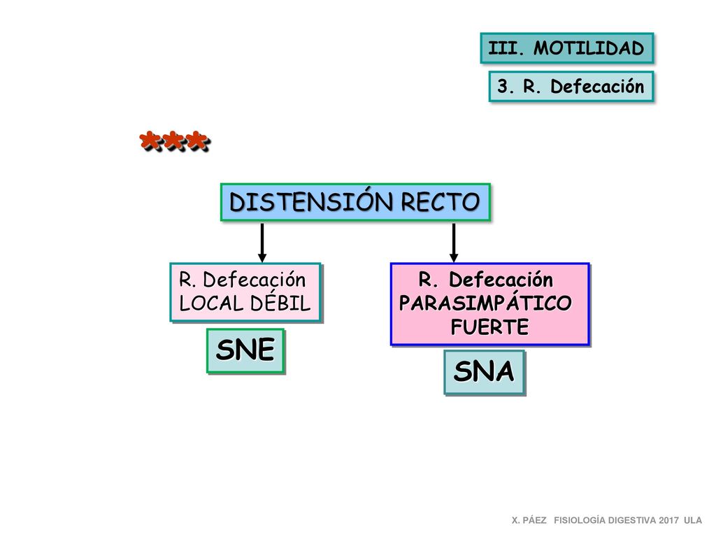 *** SNE SNA DISTENSIÓN RECTO R. Defecación LOCAL DÉBIL R. Defecación