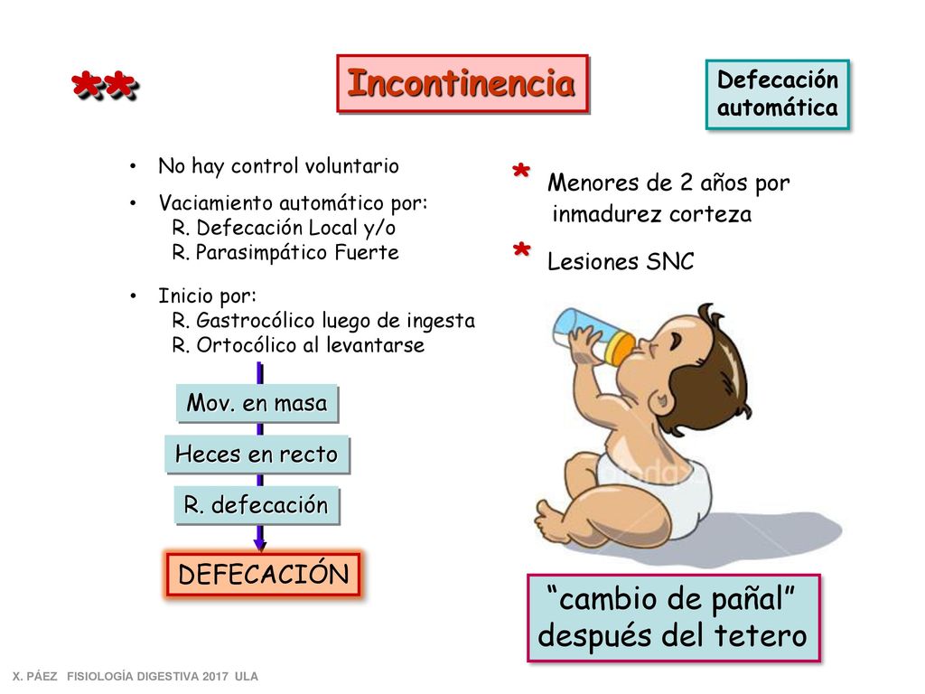 ** Incontinencia * Lesiones SNC cambio de pañal después del tetero