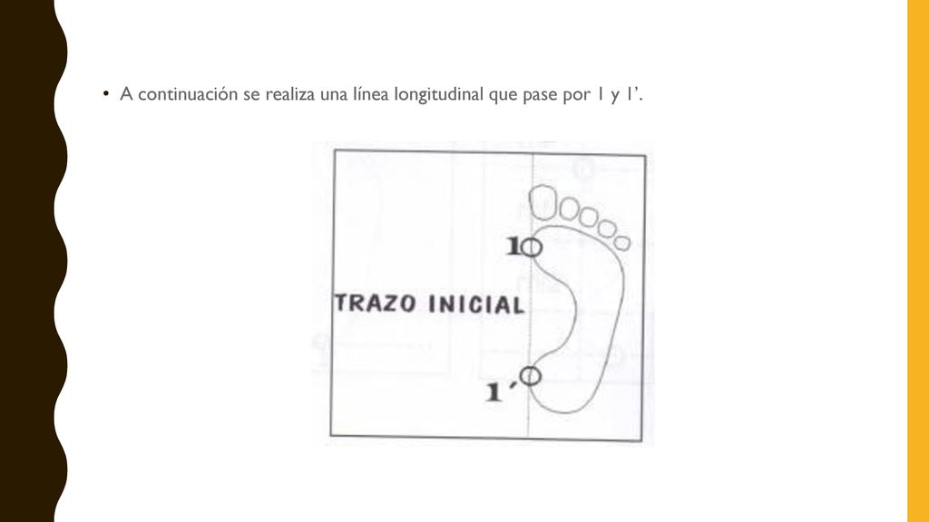 A continuación se realiza una línea longitudinal que pase por 1 y 1’.