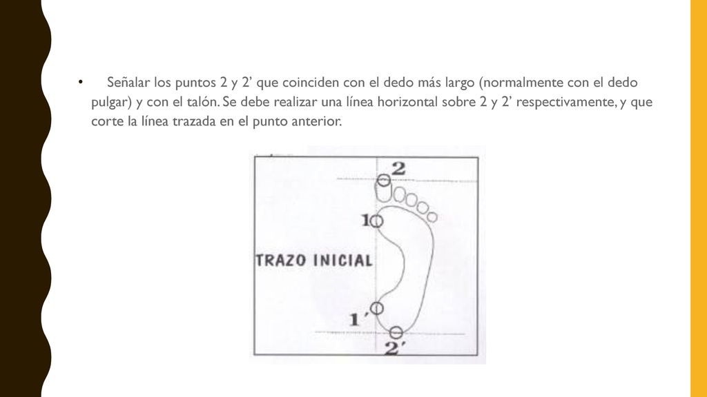 Señalar los puntos 2 y 2’ que coinciden con el dedo más largo (normalmente con el dedo pulgar) y con el talón.