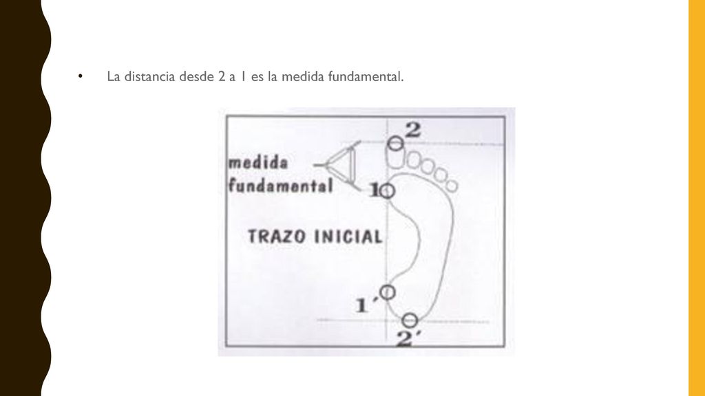 La distancia desde 2 a 1 es la medida fundamental.