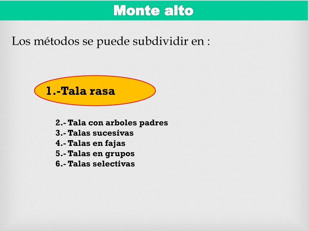 Monte alto Los métodos se puede subdividir en : 1.-Tala rasa