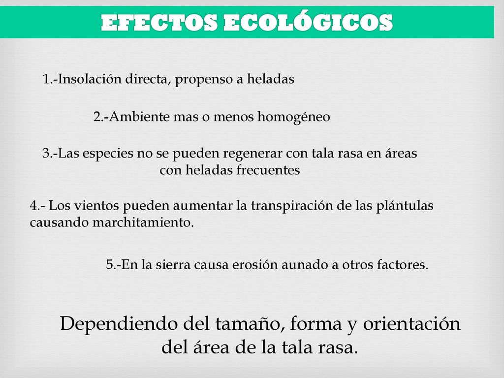 Dependiendo del tamaño, forma y orientación del área de la tala rasa.