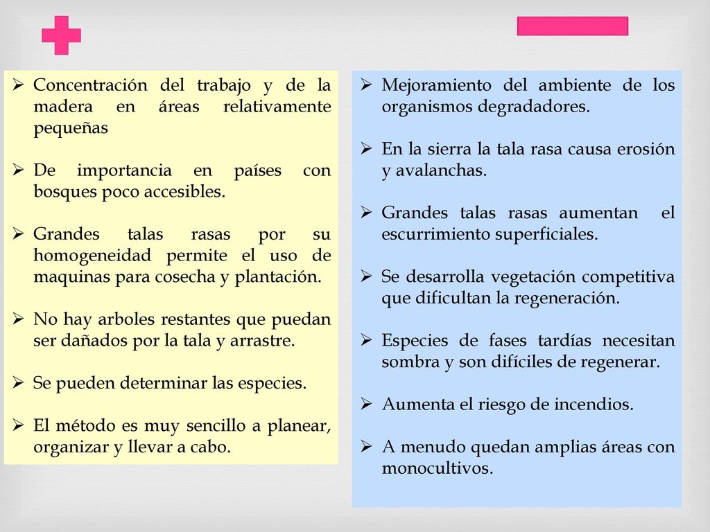 Concentración del trabajo y de la madera en áreas relativamente pequeñas