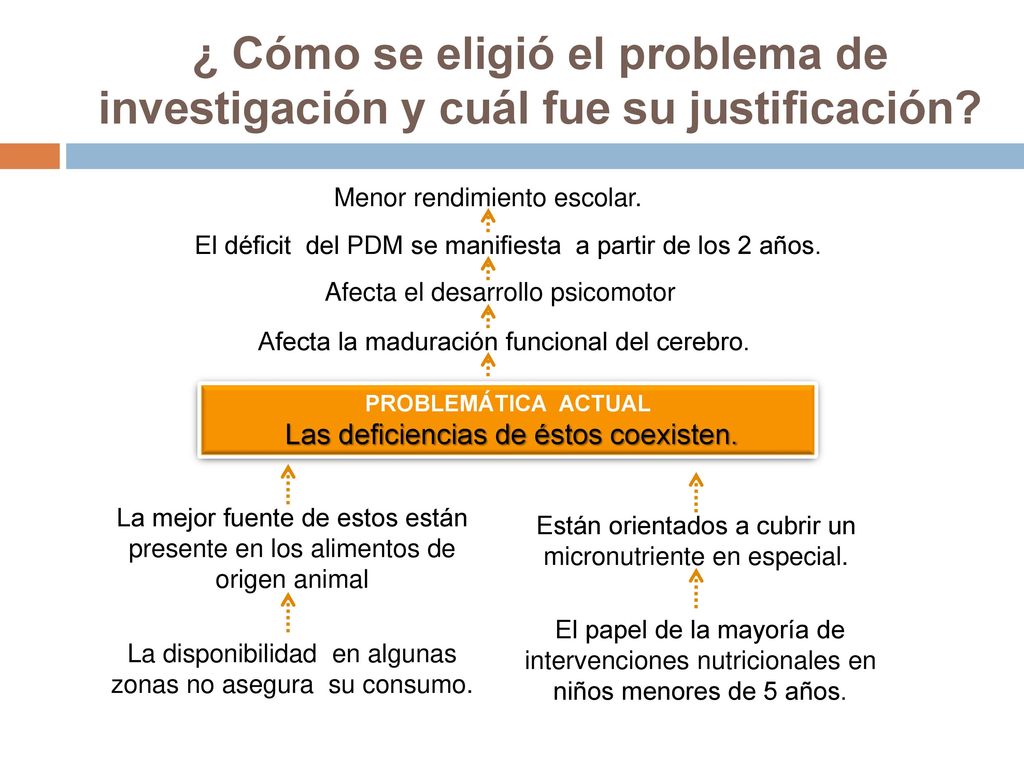 ¿ Cómo se eligió el problema de investigación y cuál fue su justificación