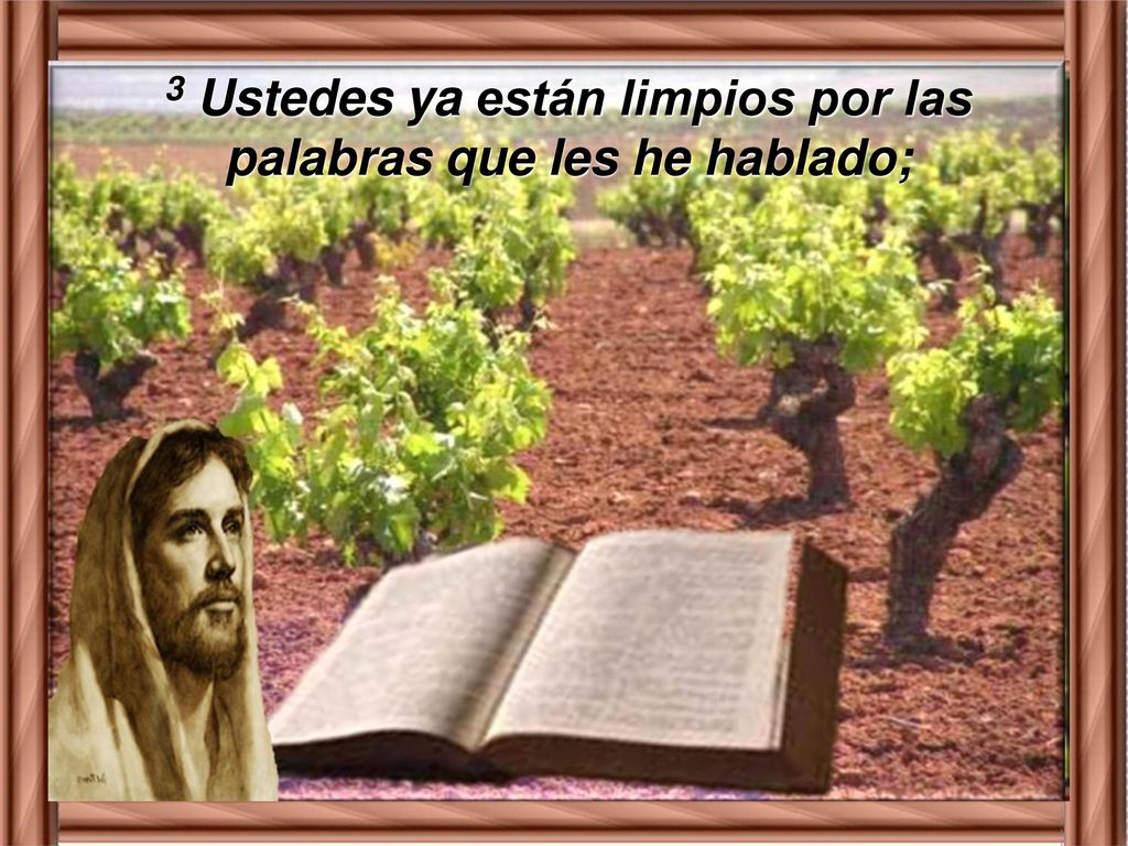 3 Ustedes ya están limpios por las palabras que les he hablado;